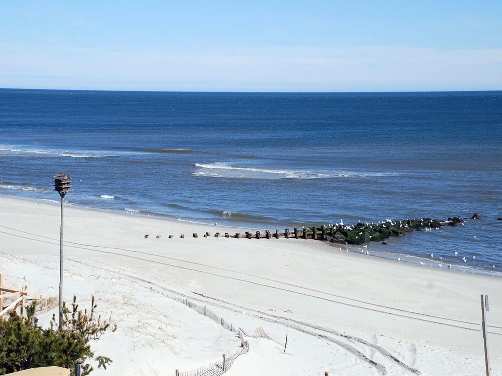 Ready for Prime Time