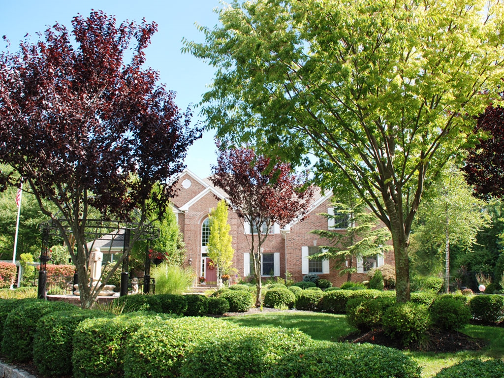 Villa Anise