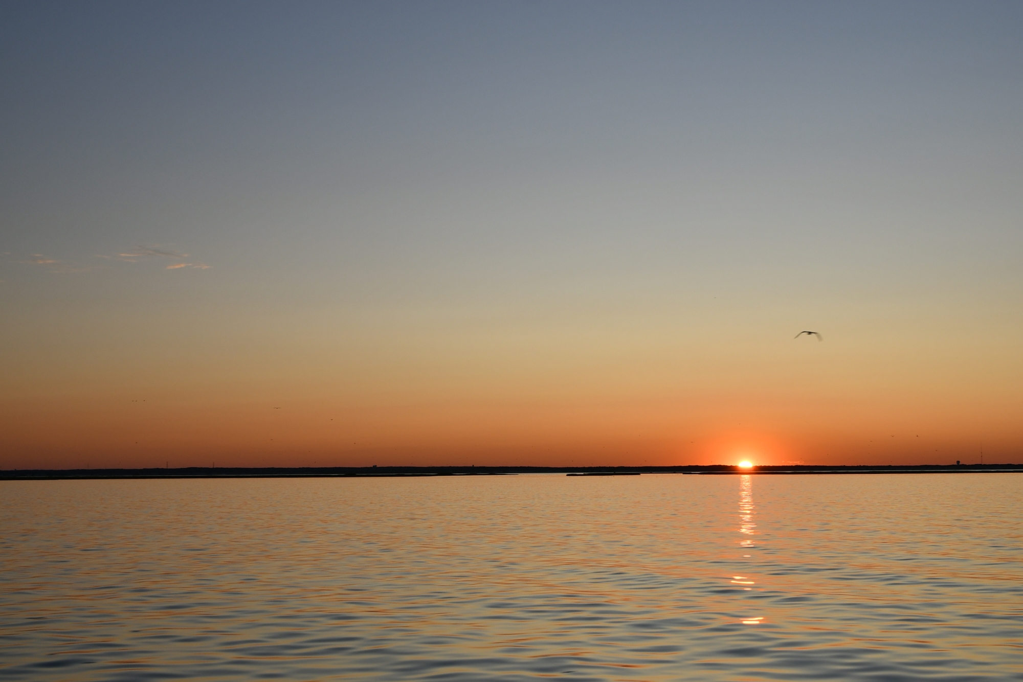 130-A Long Beach Blvd.