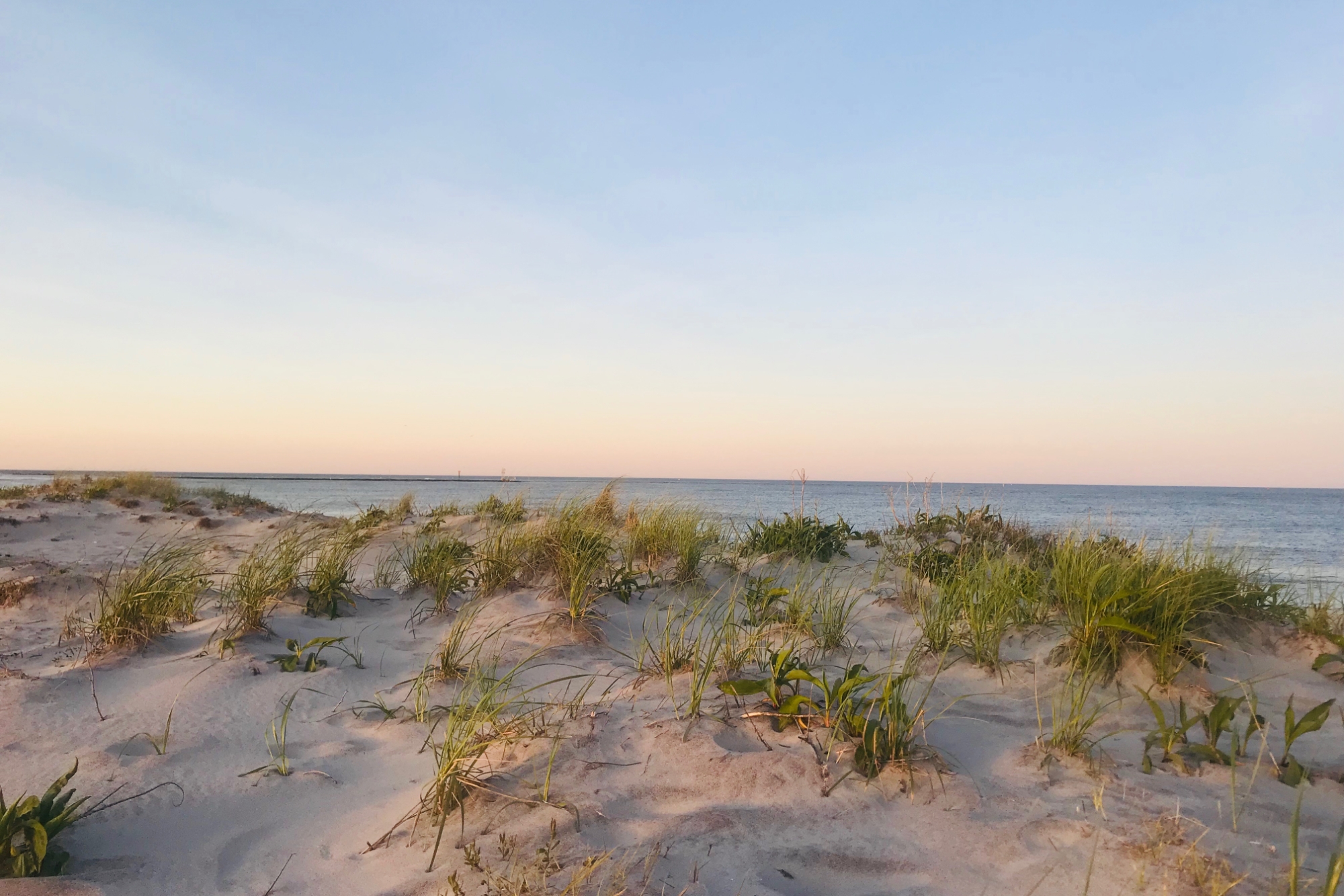 130-A Long Beach Blvd.