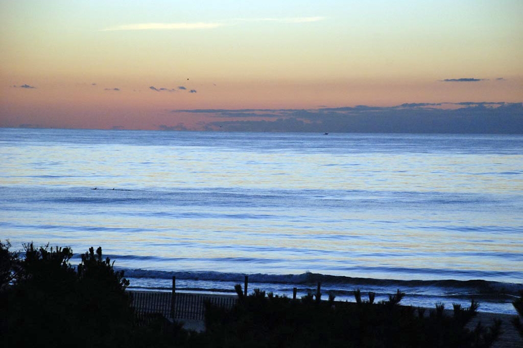 Dolphins and Sunrise