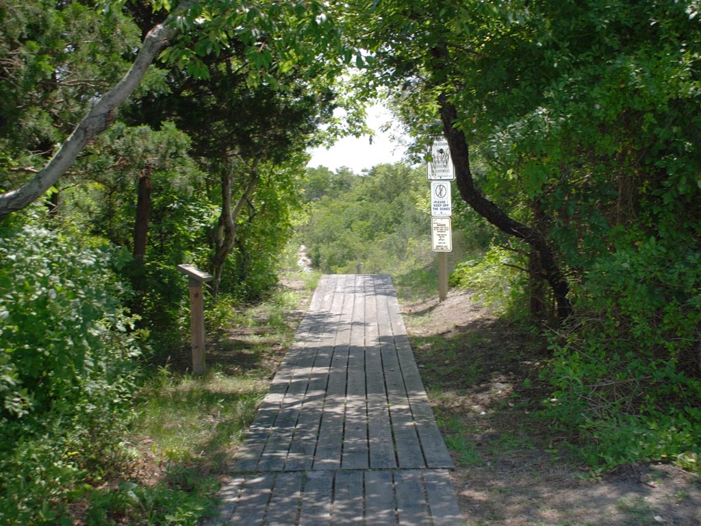 Beach Walkway