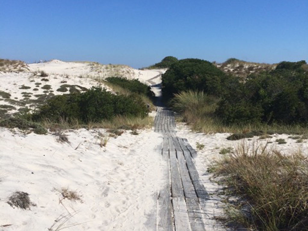 Beach Walkway