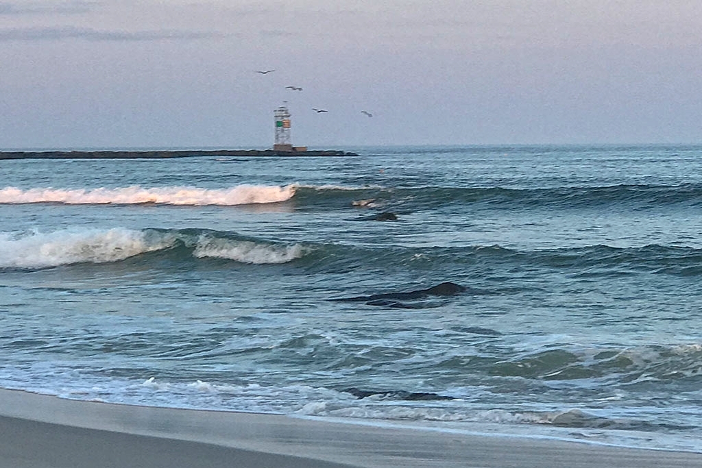 Quick Walk to the Inlet