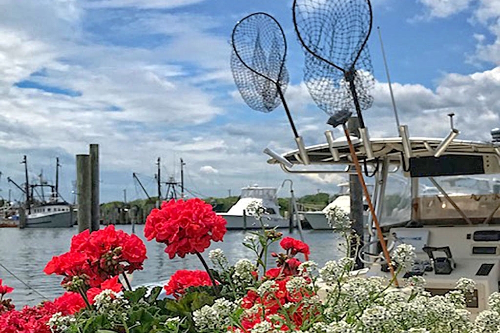 Nearby Viking Village