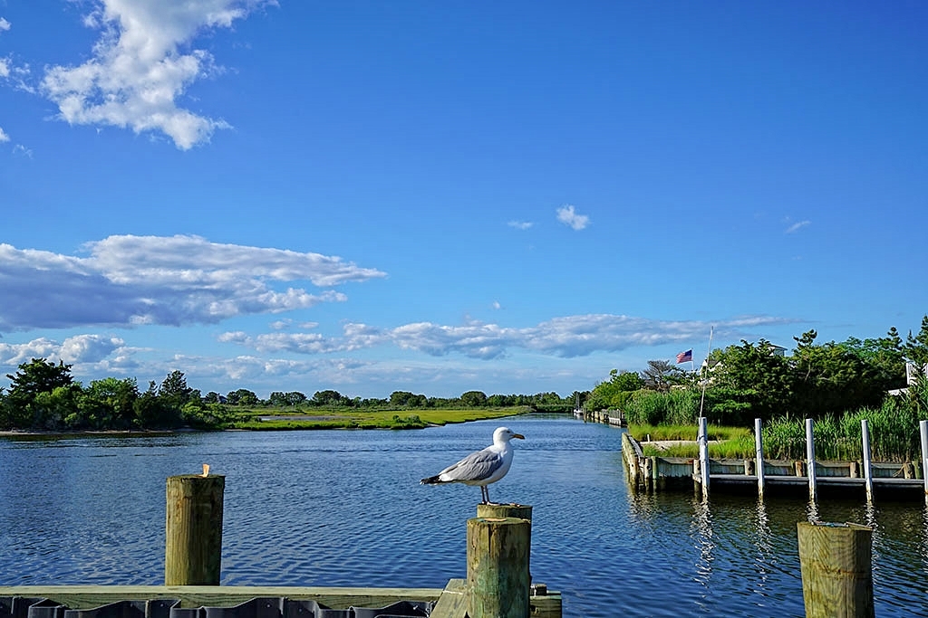 201 Nautilus Drive, Loveladies NJ Joy Luedtke Real Estate, LLC