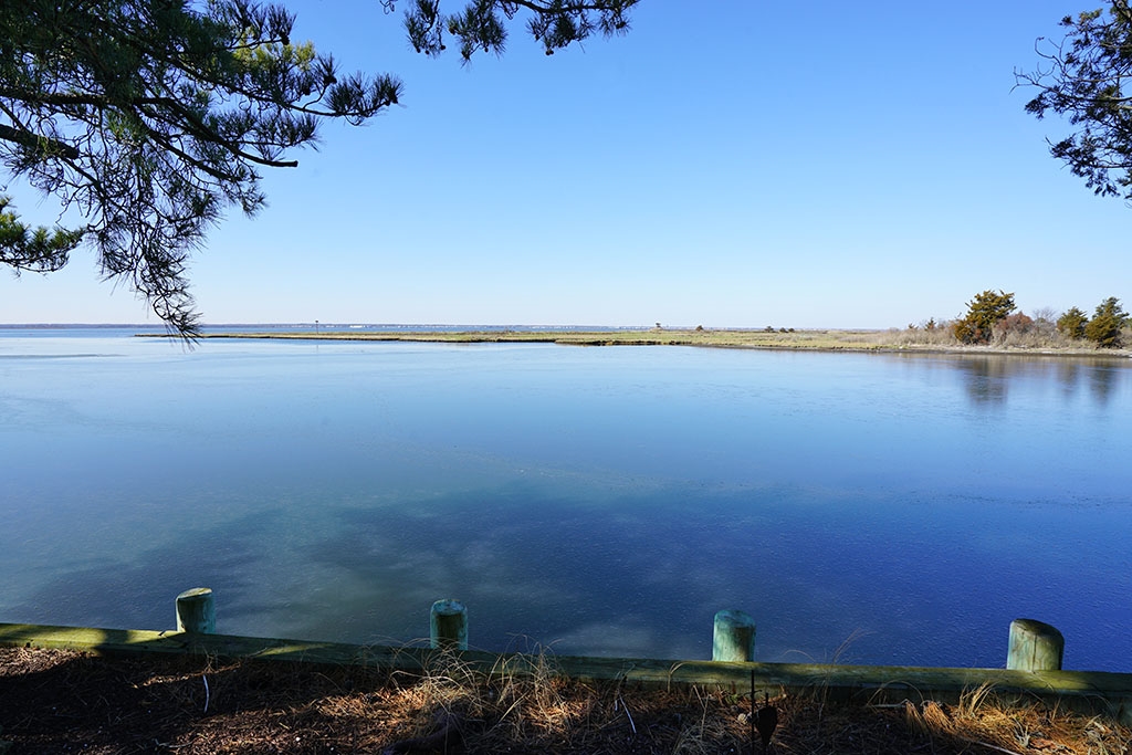 201 Nautilus Drive, Loveladies NJ Joy Luedtke Real Estate, LLC