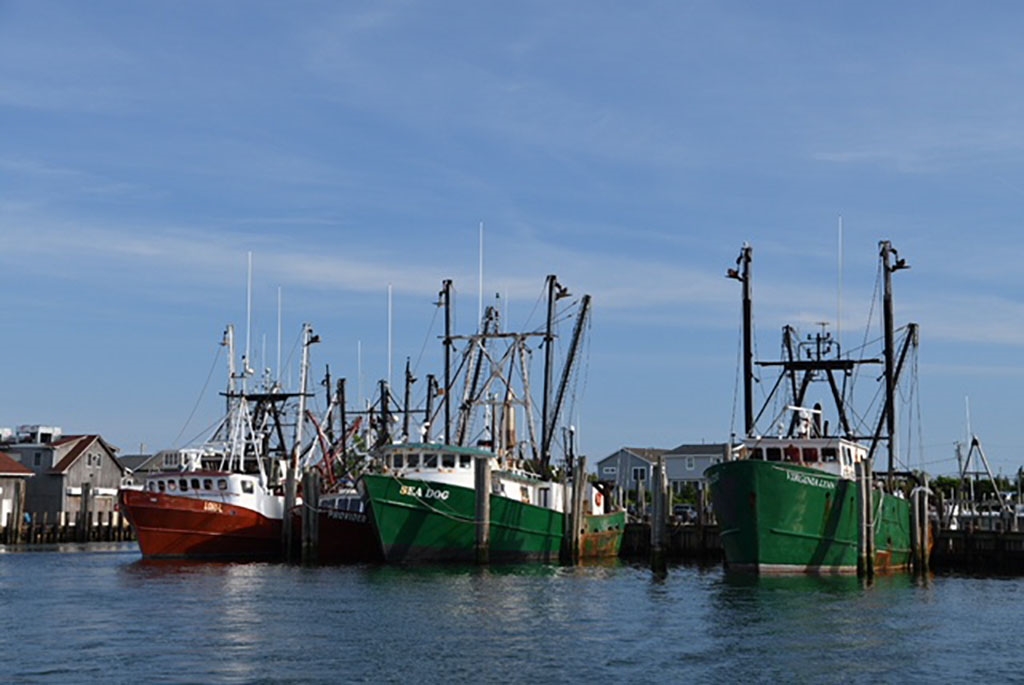 Viking Village Boats