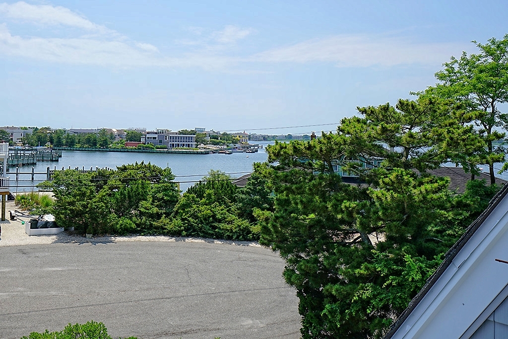 View from Upper Deck