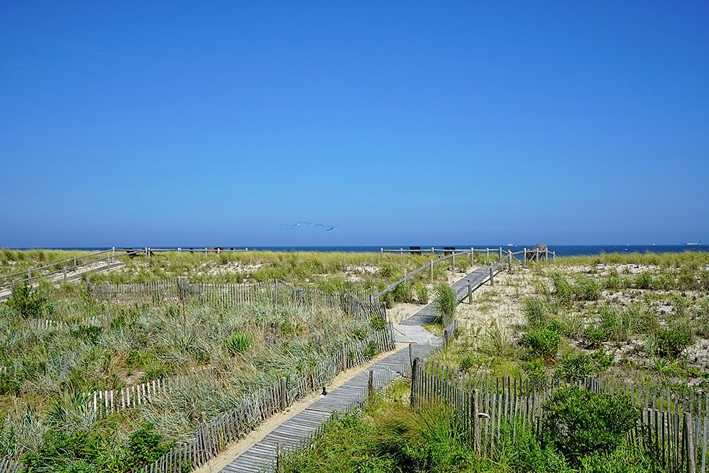 View from Lower Deck