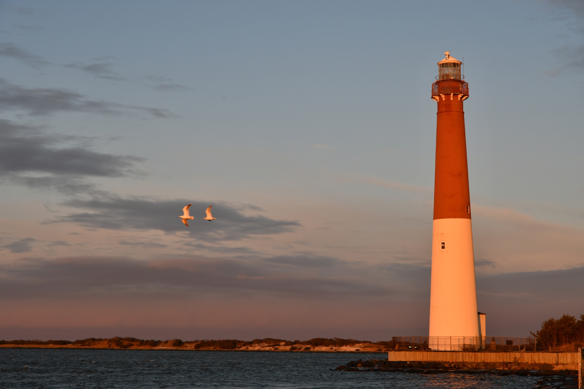 157-C Long Beach Blvd.