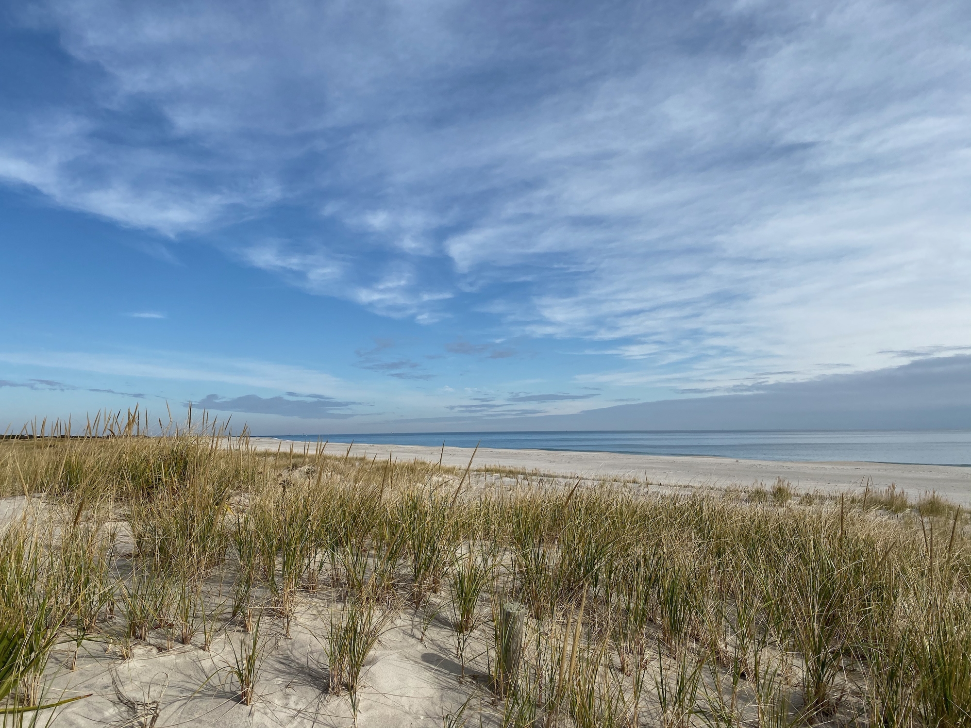 157-C Long Beach Blvd.