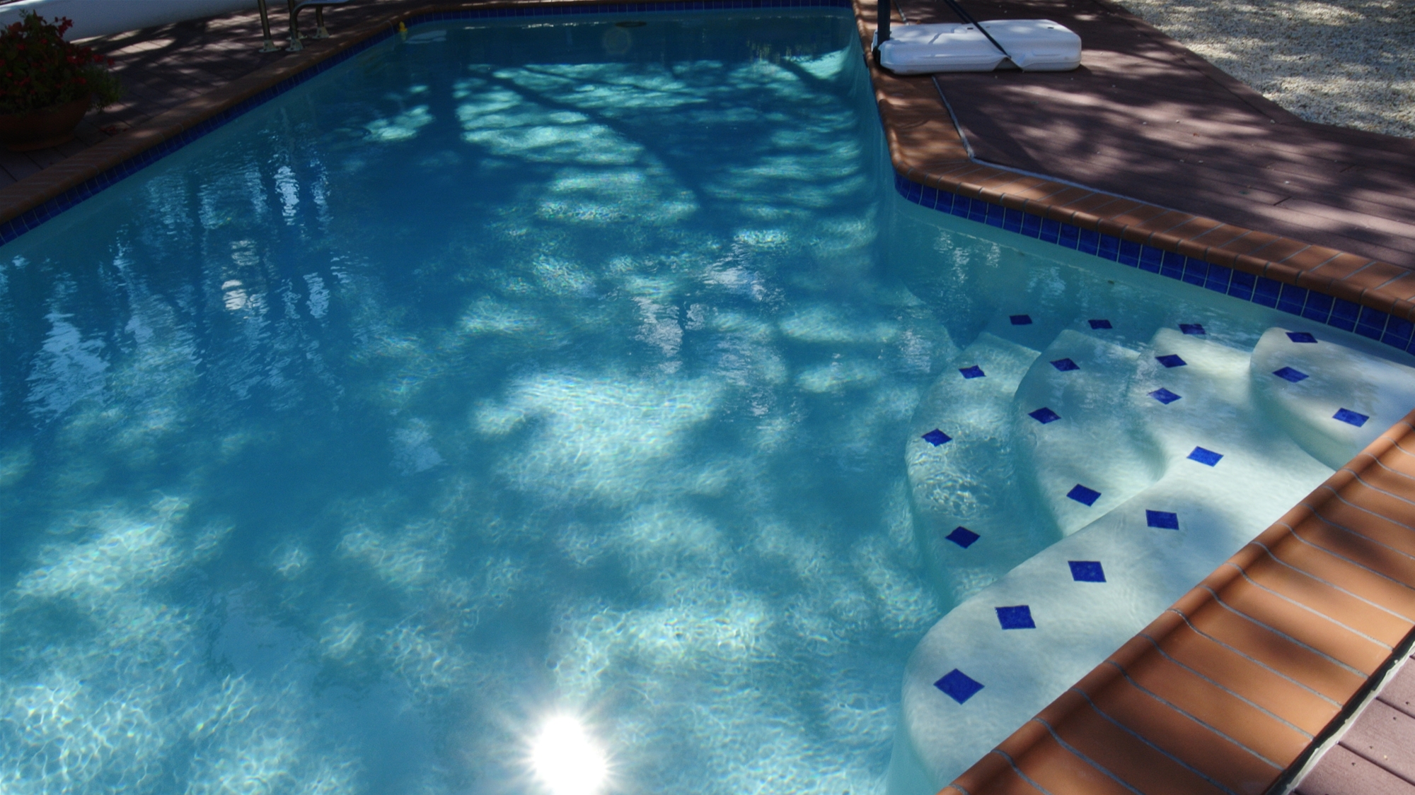 352 Dusty Miller Dr.