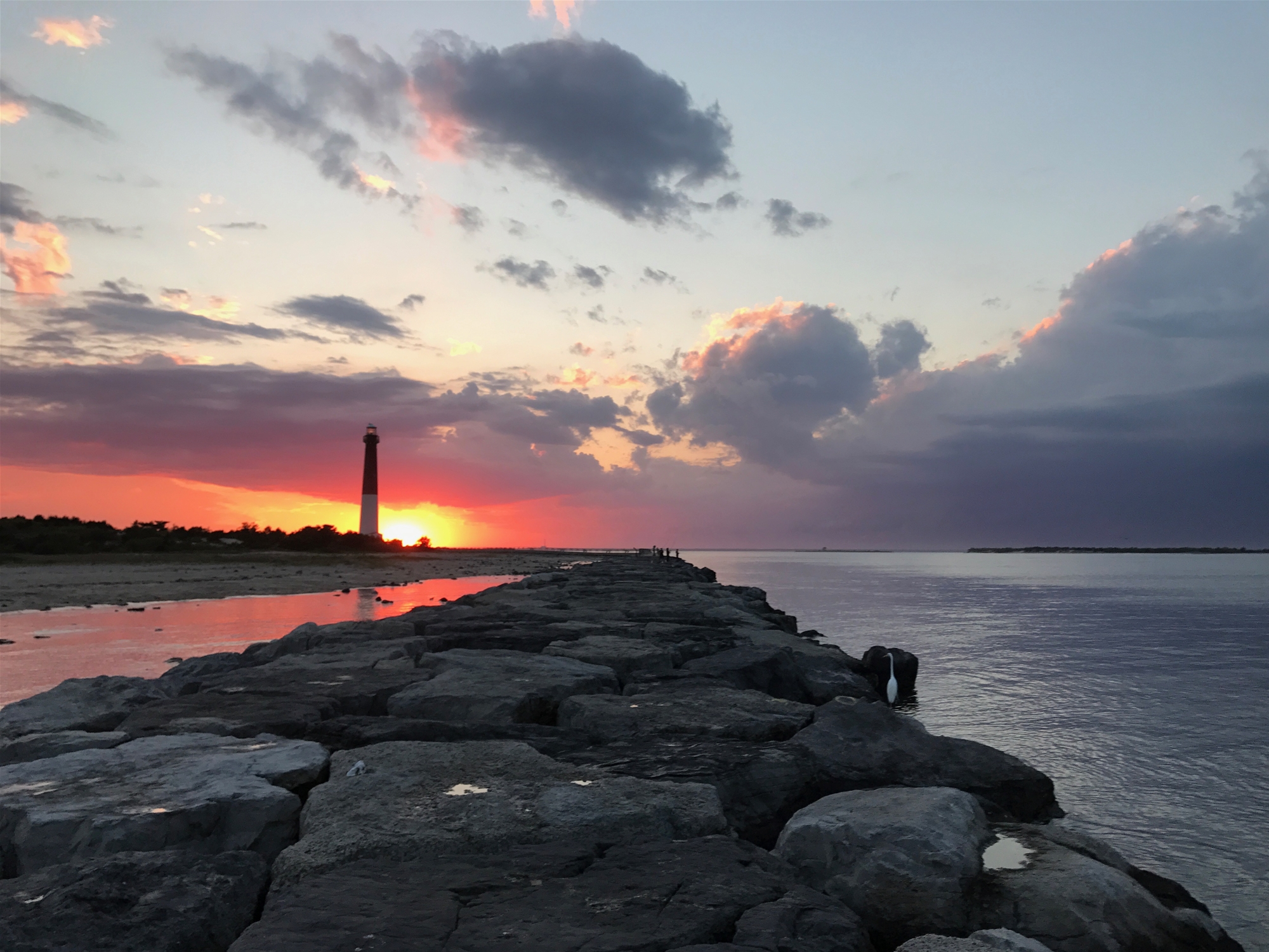 1013-B Long Beach Blvd.