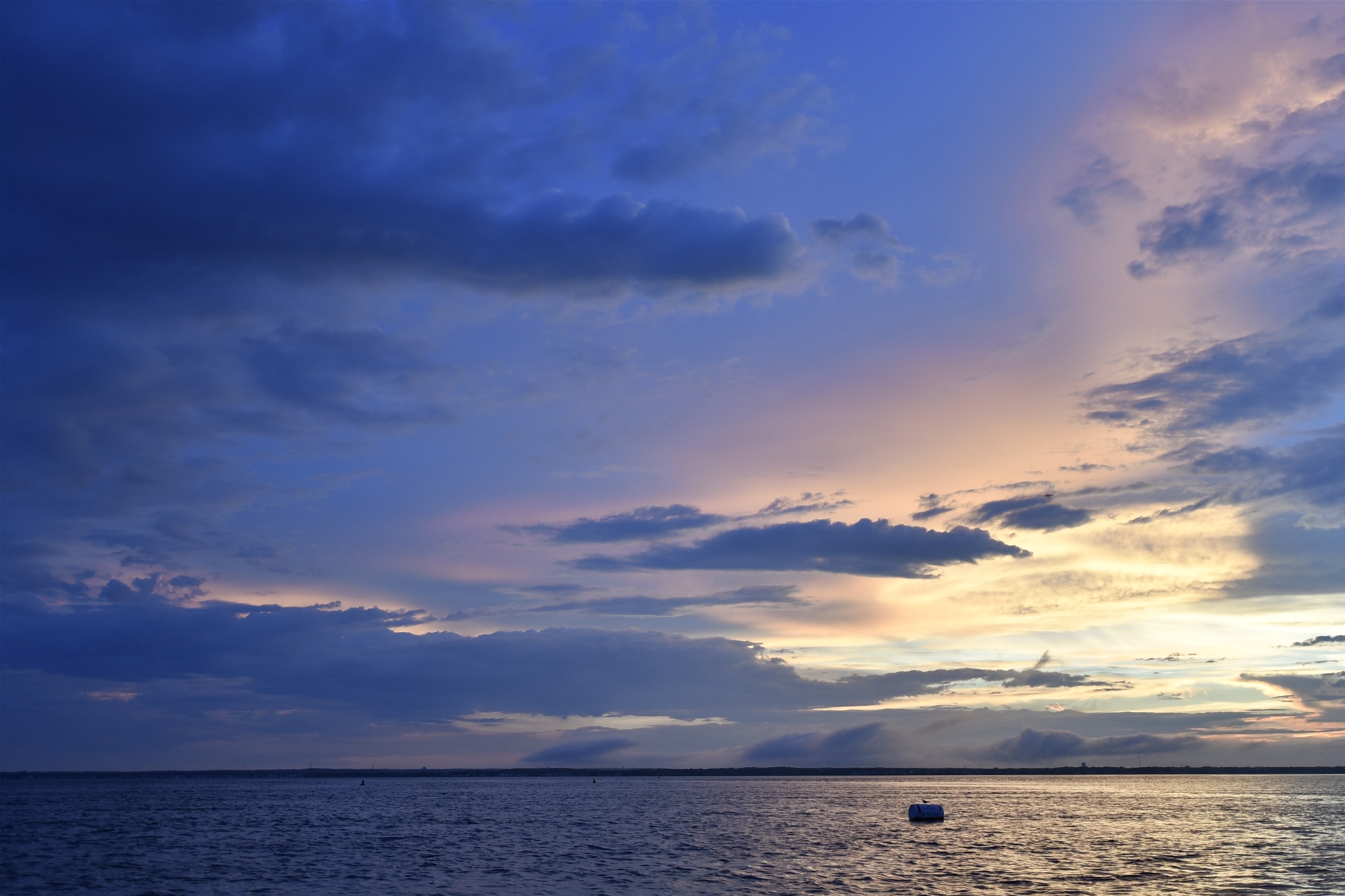 356 Dusty Miller Dr.