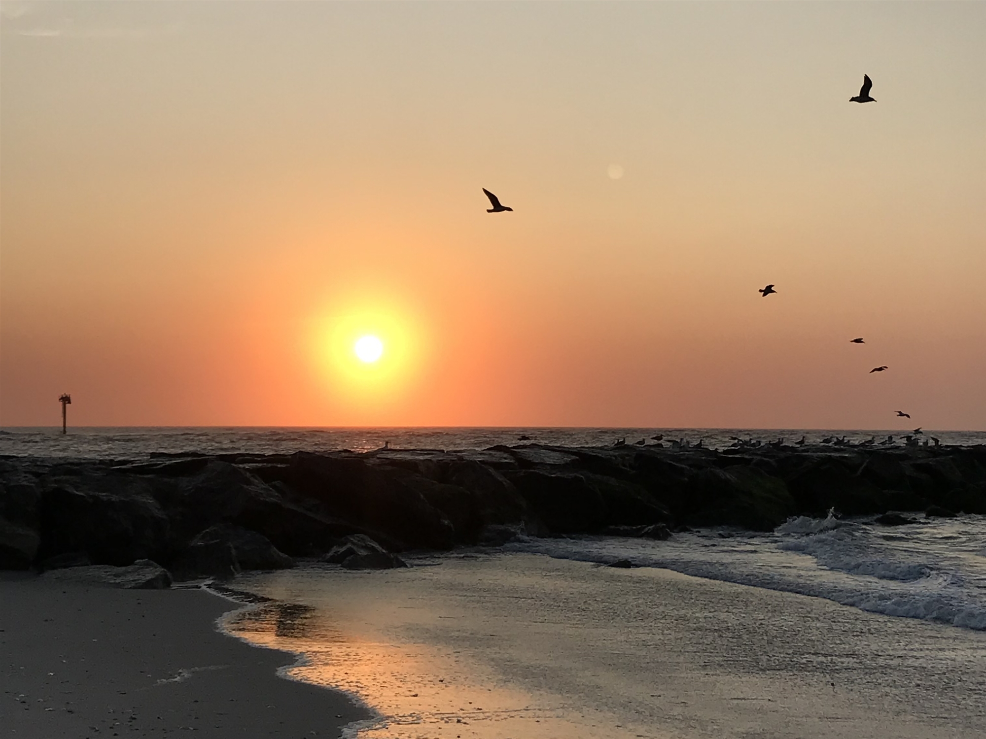 356 Dusty Miller Dr.