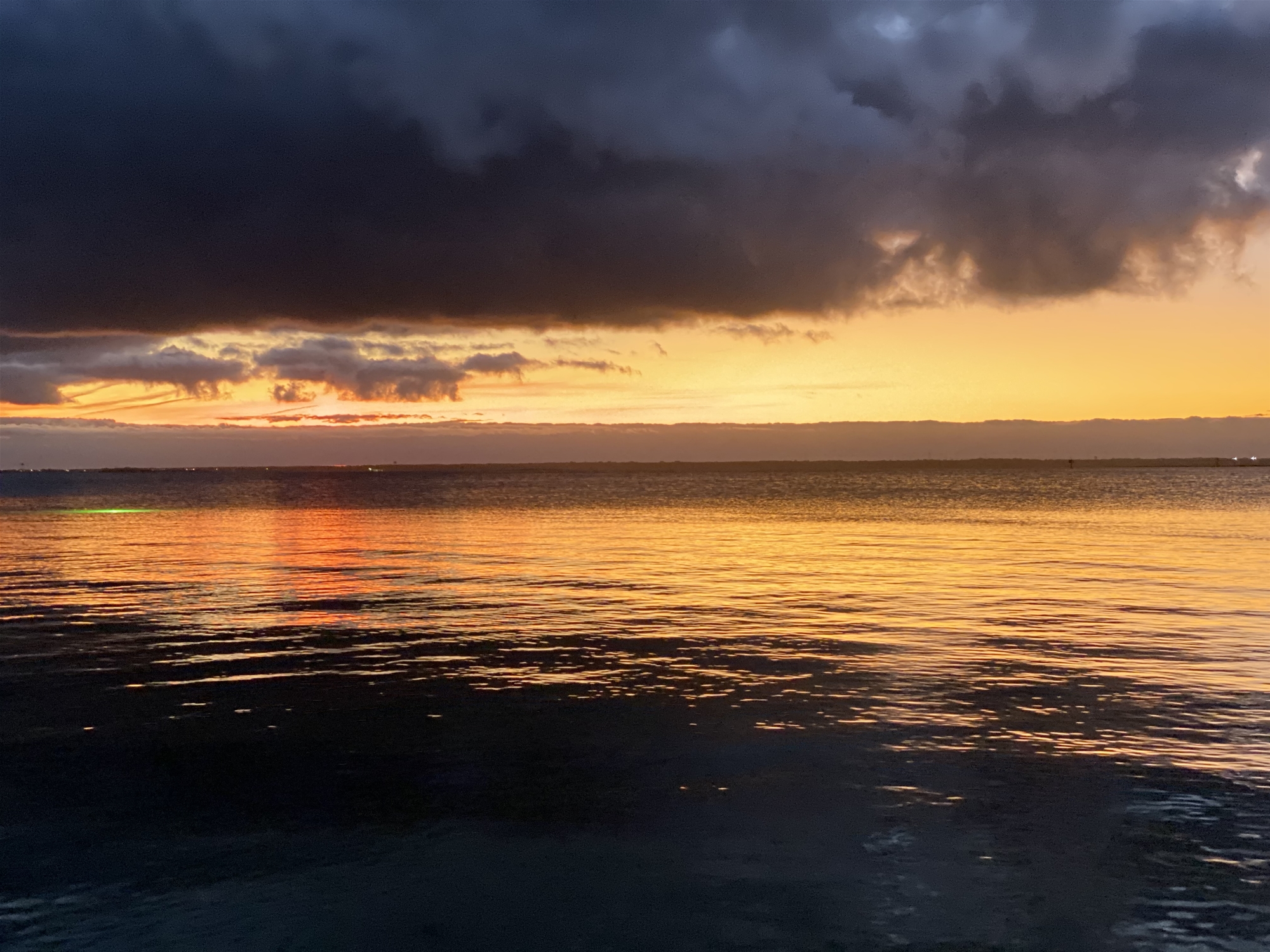 356 Dusty Miller Dr.