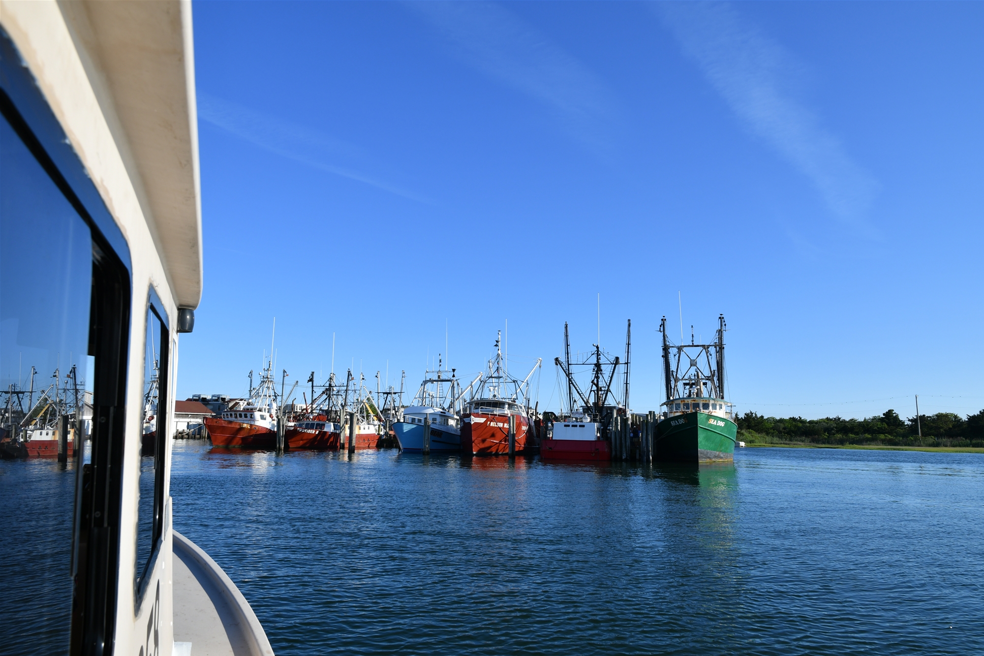 Viking Village Colors