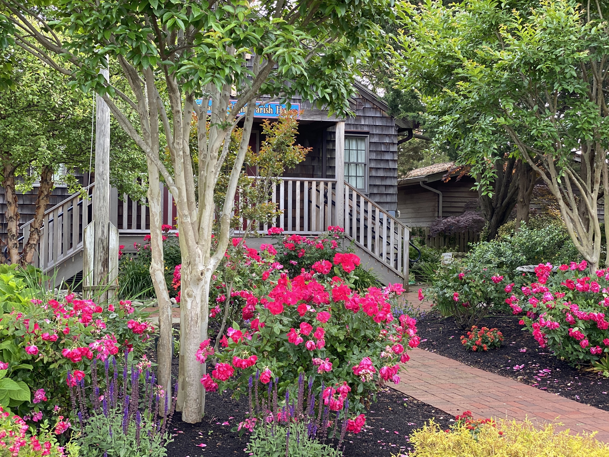 Flowers at Barnegat Light