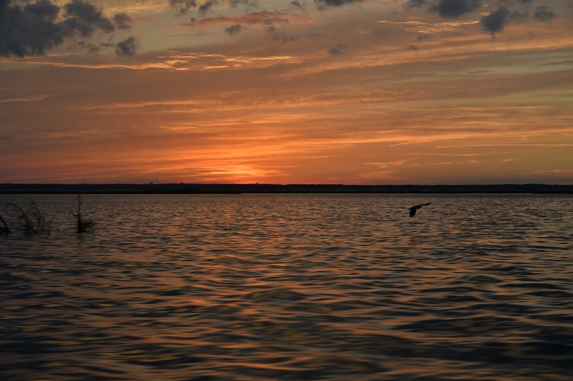 Sunset at Bay, Loveladies