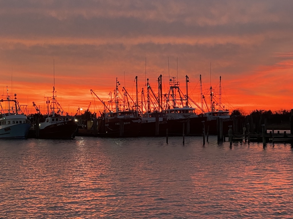 Easy Stroll to Viking Village