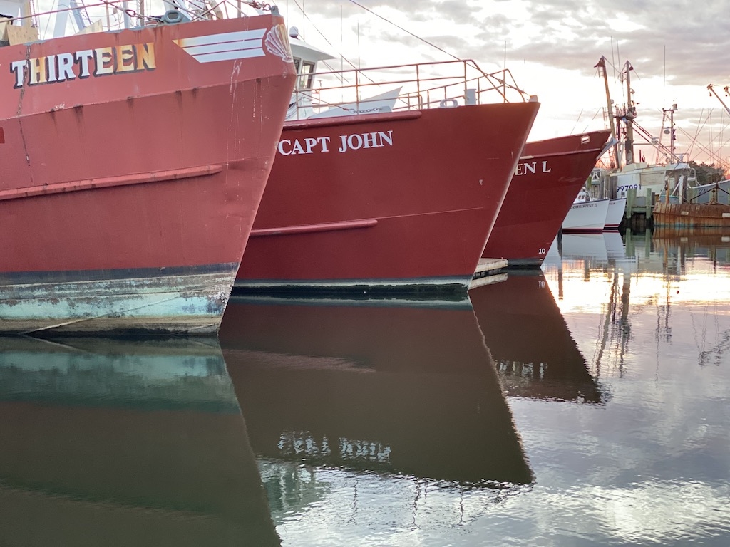 Fresh Seafood from Viking Village