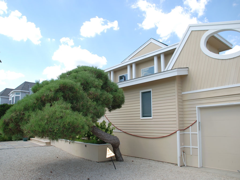 Fabled, Fabulous and Fun