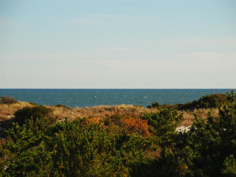 Sea of Dreams