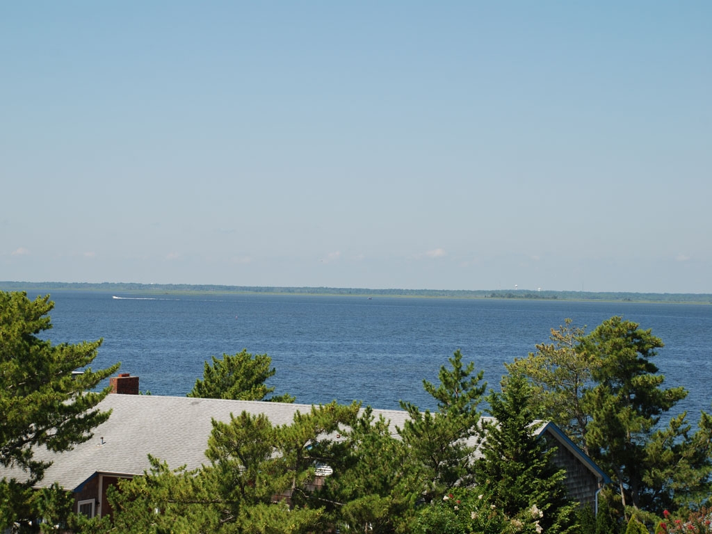 Reel In the Good Life